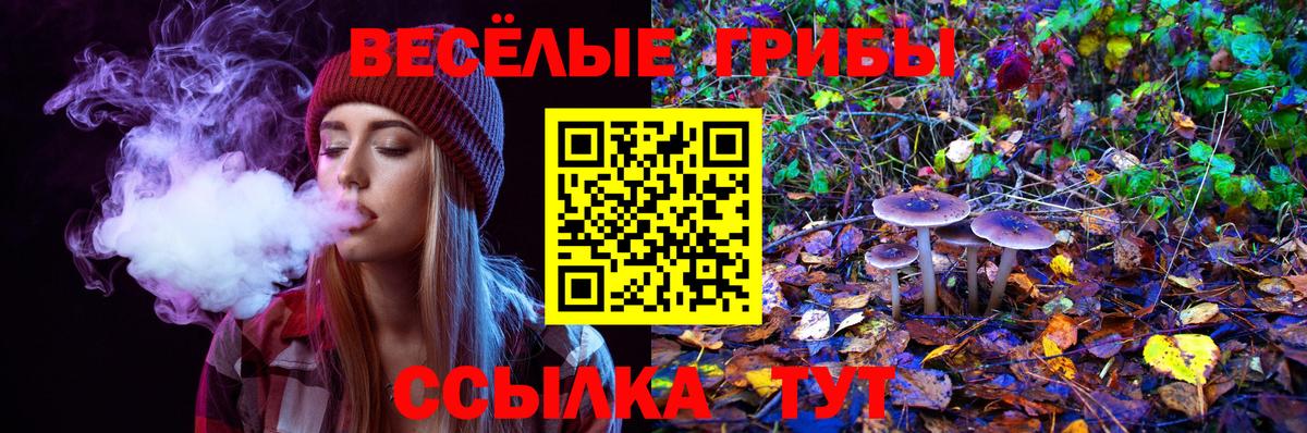 Галлюциногенные грибы GOLDEN TEACHER  Псилоцибиновые грибы Psilocybine cubensis  Вход с VPN  Губаха 